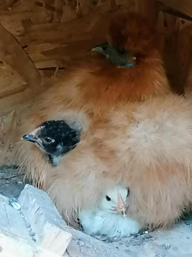 Wohnen Im Ampertal In Grafrath Διαμέρισμα Εξωτερικό φωτογραφία