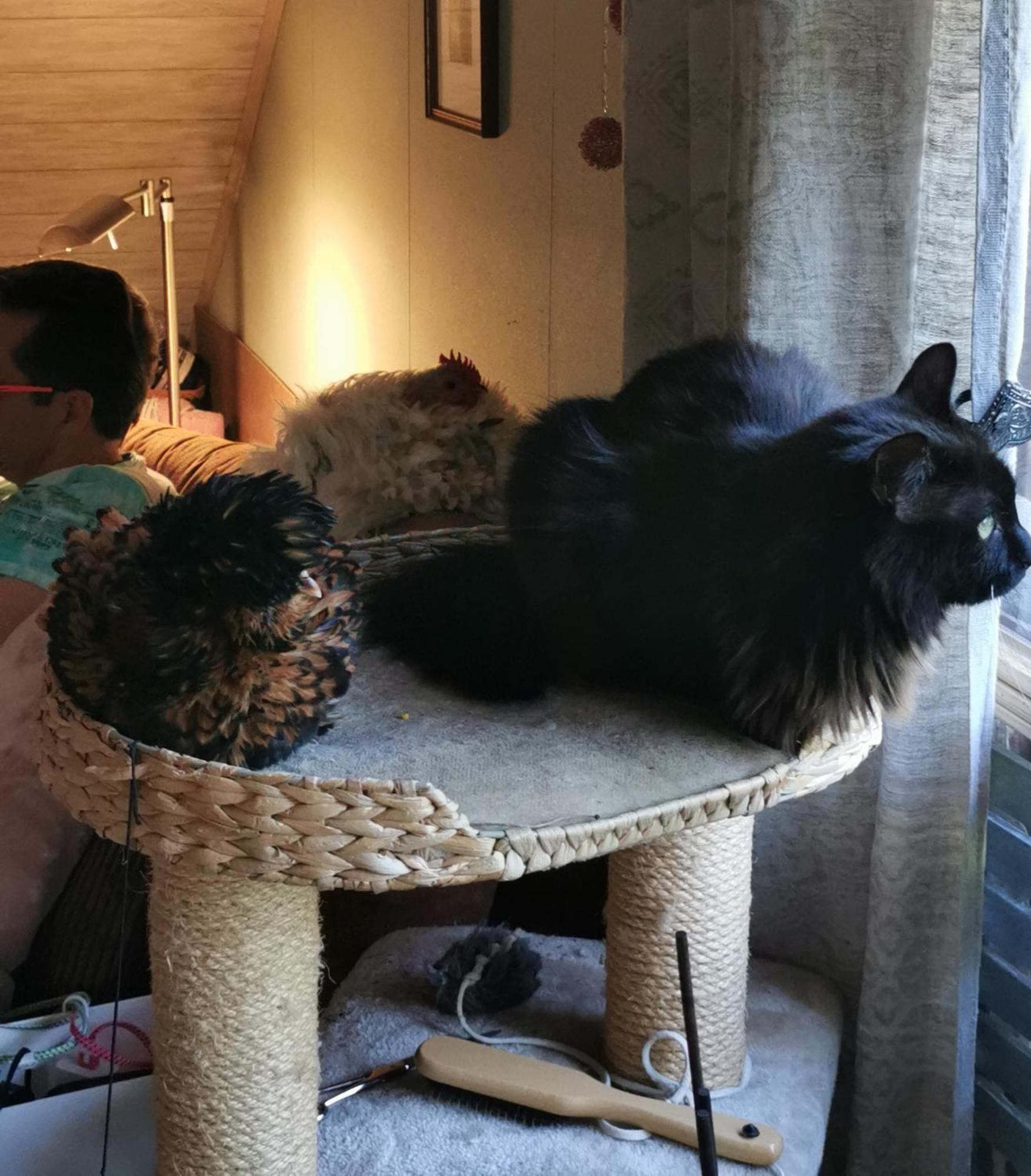 Wohnen Im Ampertal In Grafrath Διαμέρισμα Εξωτερικό φωτογραφία